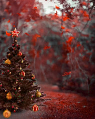 Photo Editing Christmas Tree Editing Background HD
