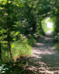 Photoshop Garden Photo Editing CB Background