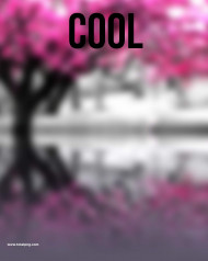 PicsArt Editing Background Download HD