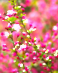 Picsart HD Photo Editing Background Download