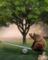 Playing Bear Poster Photo Editing Background HD