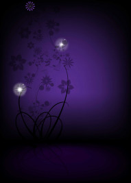 Portrait Studio Editing Background Download Free