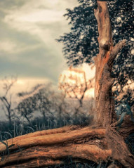 Pranav PG Background Download Full HD For Photo Editing