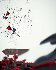 Red Rose Picsart Cb Edit Background Download