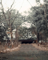 Snapseed Background Images HD For Editing