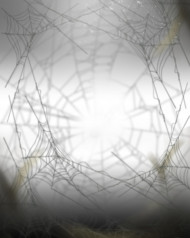 Spider Web Picsart Background full HD