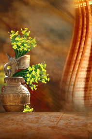 Studio Background Wallpapers HD Download Pics
