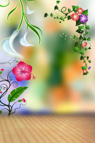 Studio Flowers Wallpapers Full HD Background  New
