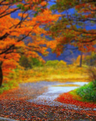 Sunset Blur CB Editing Background Download New