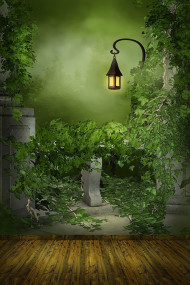 Tree Outdoor Studio Background HD Download Free