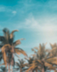 Tree Snapseed Background Full HD Download Free