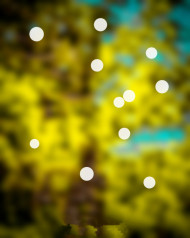 Yellow Bokeh Effect Photoshop Background For CB Editing